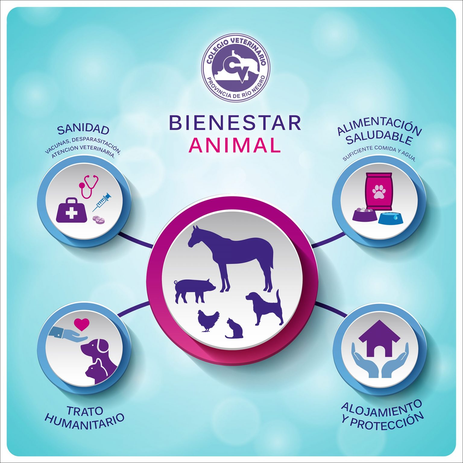 Bienestar Animal - Colegio Veterinario Rio Negro